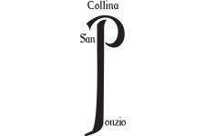 (image for) CANTINA COLLINA SAN PONZIO BAROLO 1994